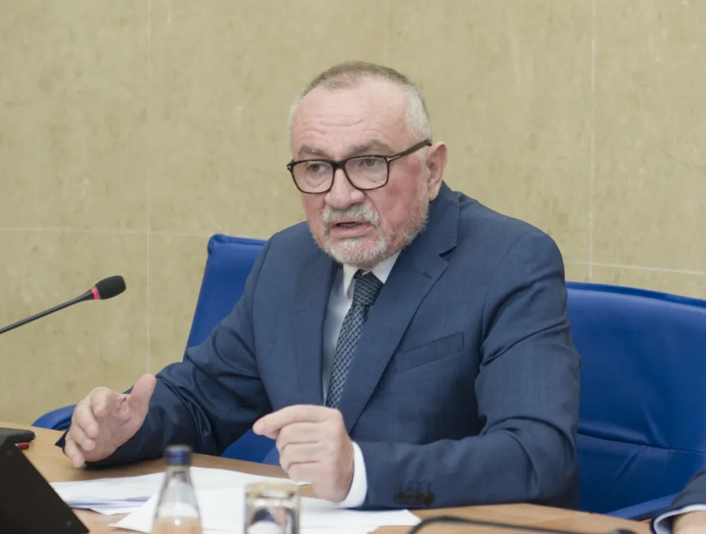 ekonomsko stanje izazovi i perspektive