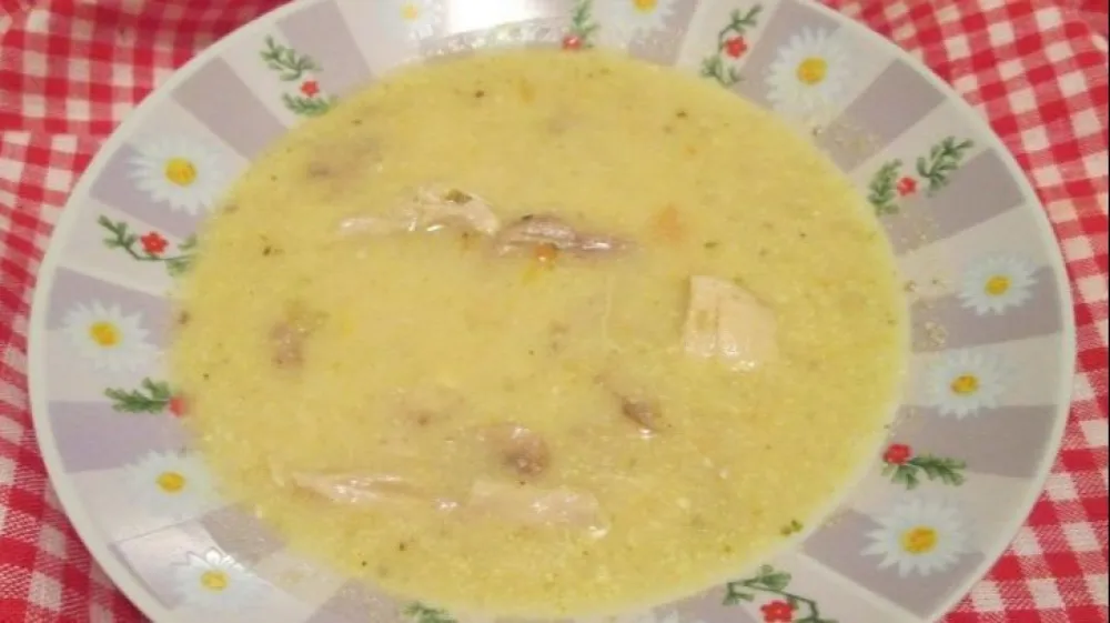 Pileca v