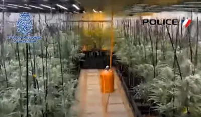 (VIDEO) Kriminalna organizacija prokrijumčarila ha&scaron;i&scaron; u Francusku i preradila oružje