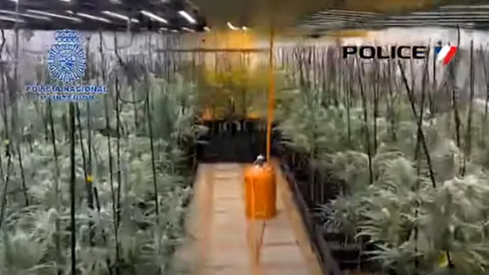 (VIDEO) Kriminalna organizacija prokrijumčarila ha&scaron;i&scaron; u Francusku i preradila oružje