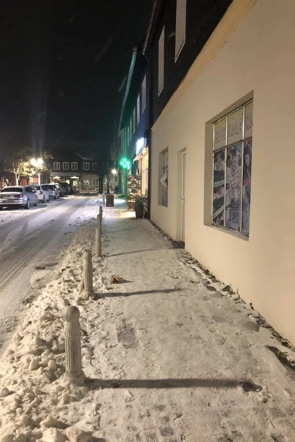 Saobraćajnice i trotoari okovani snijegom