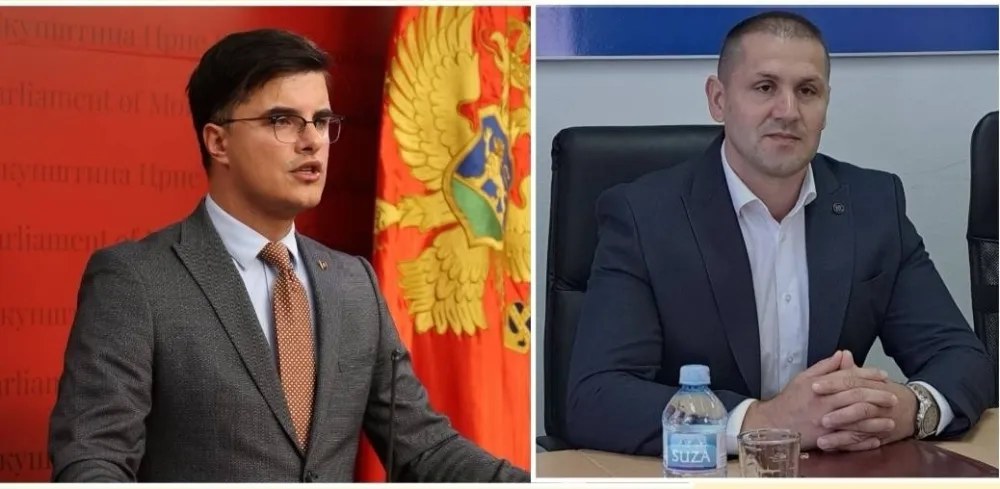 &Scaron;ćepanović v.d. vr&scaron;ioca dužnosti načelnika Sektora za borbu protiv kriminala