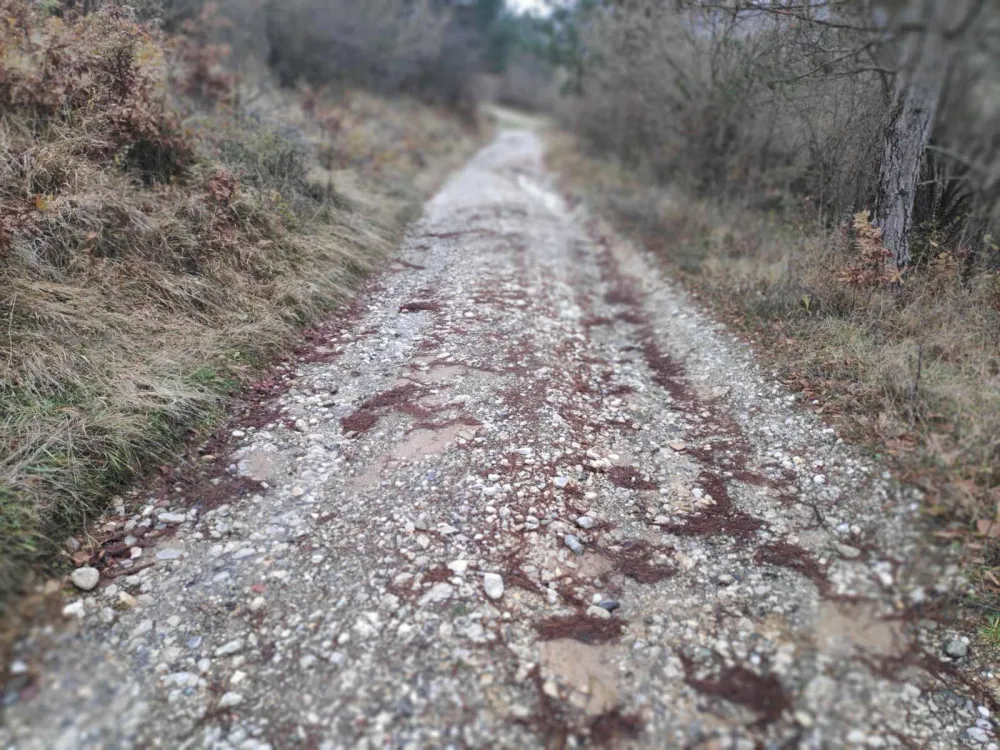 Bijelo Polje: Lokalni putni pravac Saјkovac-Srđevac bez asfalta, uzak i sa velikom pedenciјom