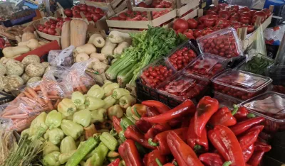 pijaca, ginta&scaron;