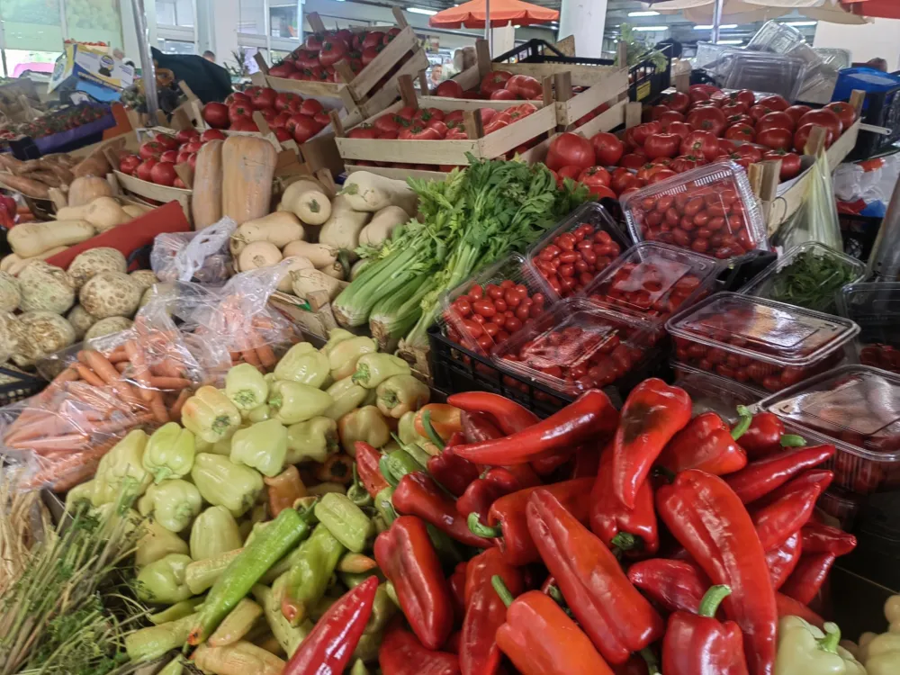 pijaca, ginta&scaron;