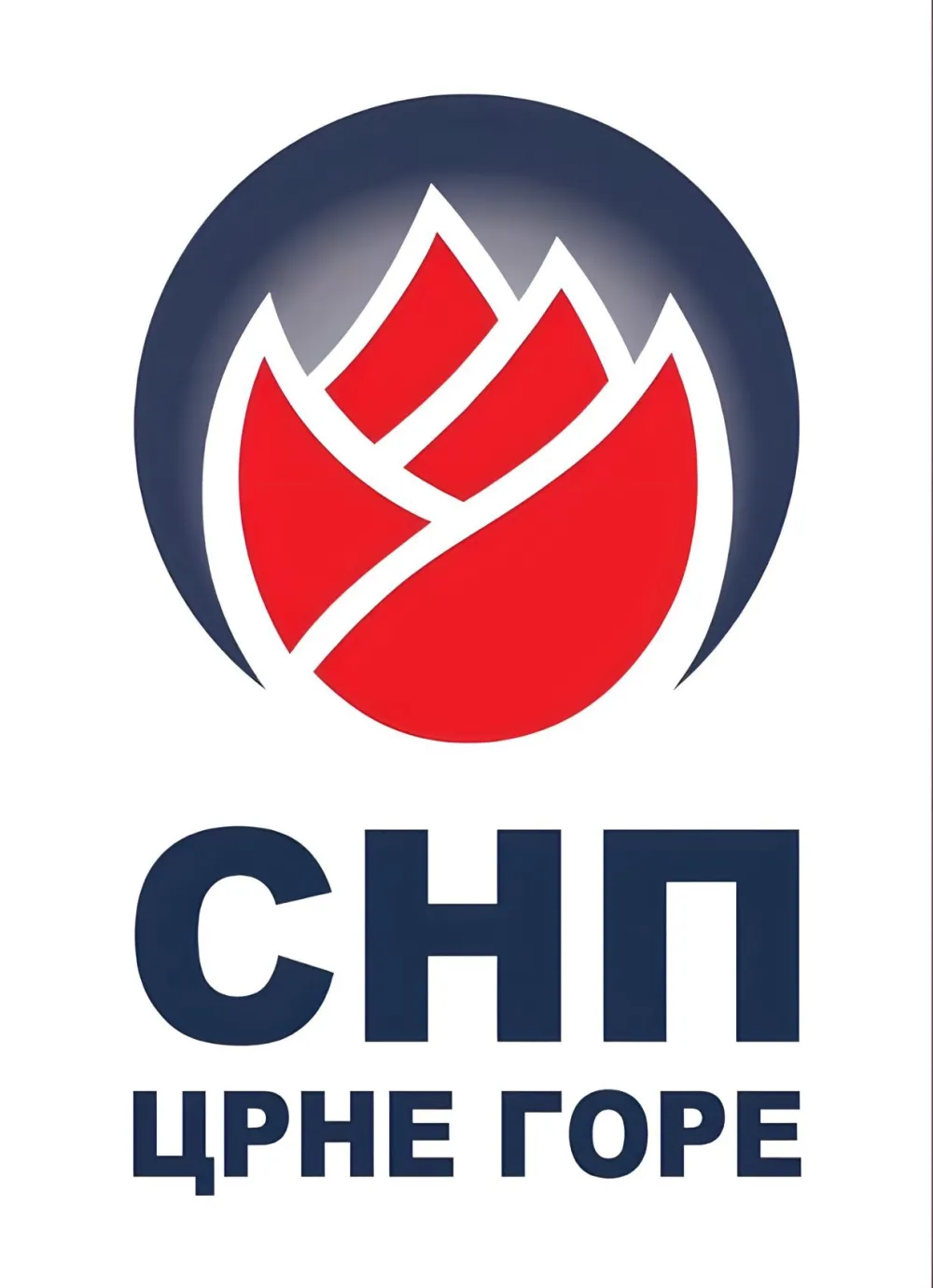 SNP logo