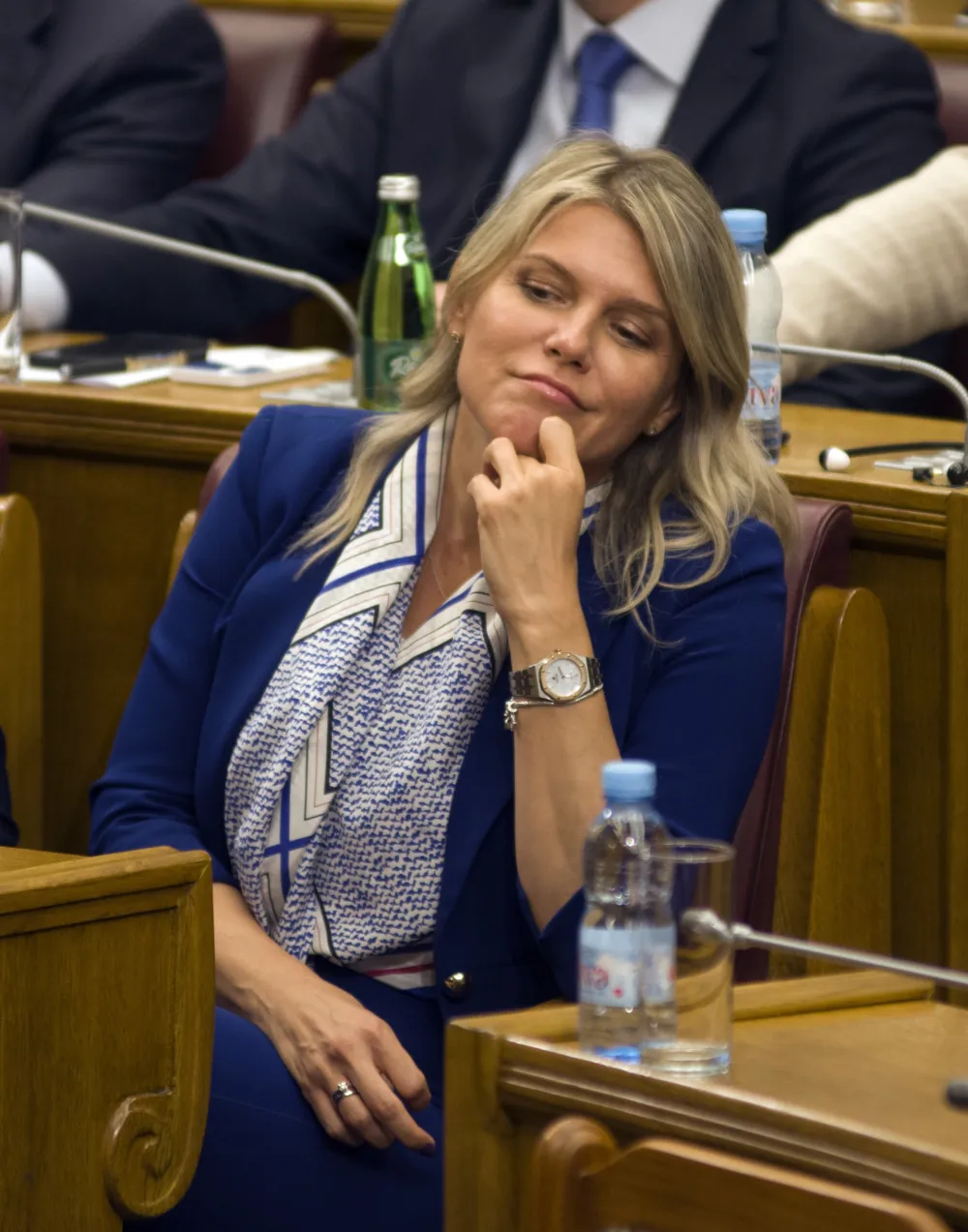 sastanak parlamentarne vecine, vanredna sjednica skupstine