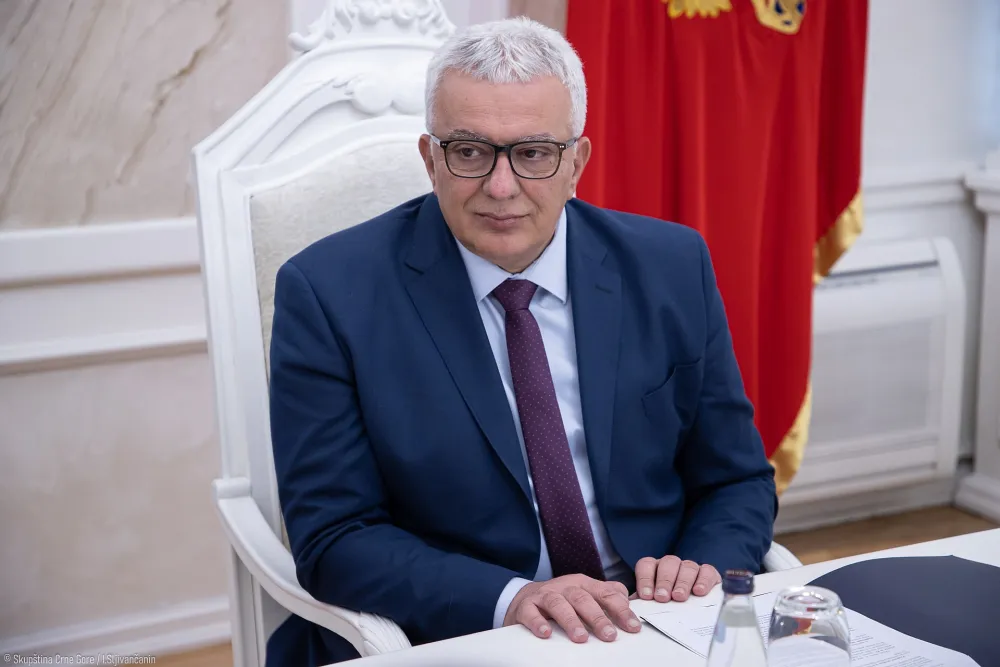 Mandić sa predsjednikom Republike Turske