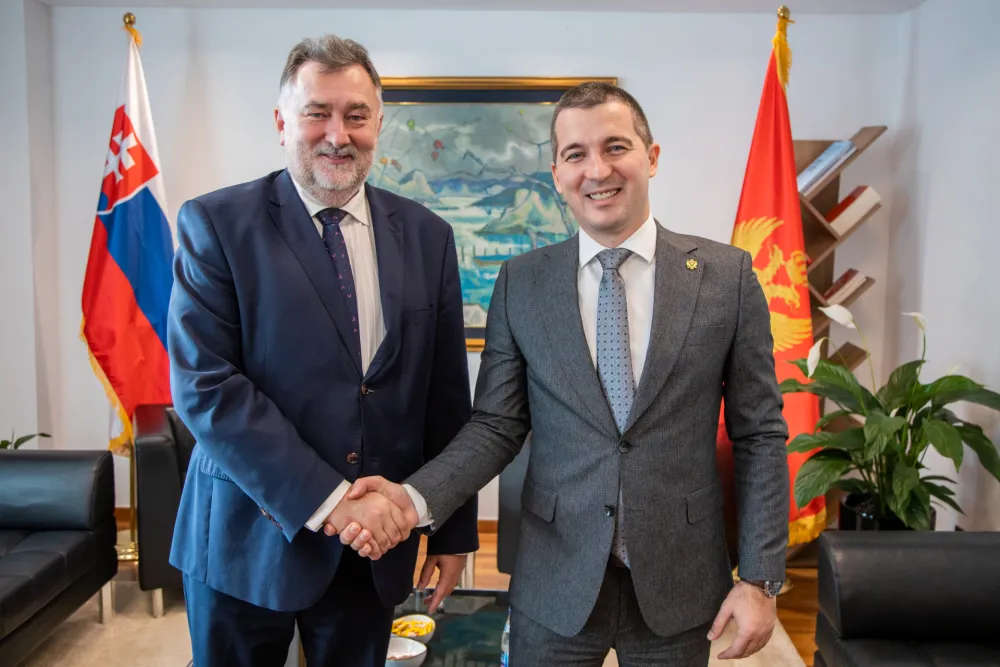 Bečić: Crnoj Gori trebaju evropske promjene, a ne balkanske zamjene