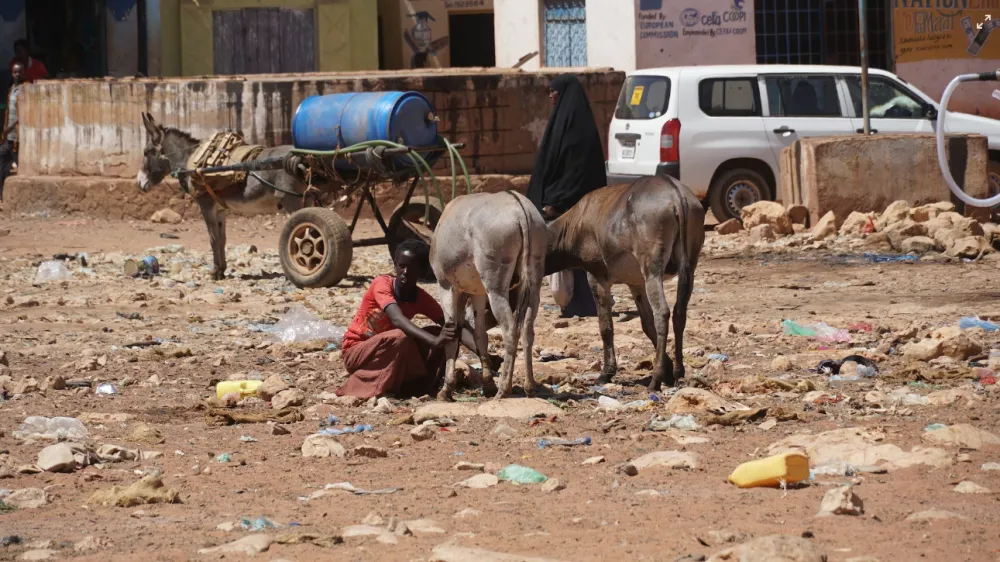 MMF i Svjetska banka otpisali Somaliji 4,5 milijardi dolara duga