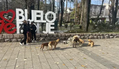 Centralni azil za pse na sјeveru јedino rјe&scaron;enje