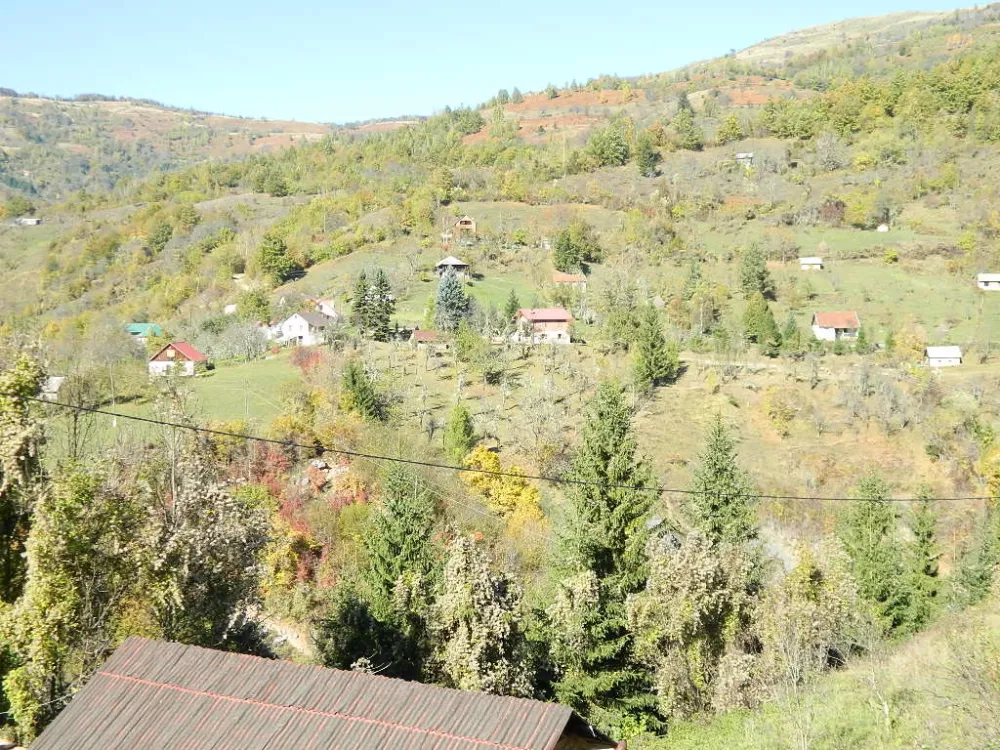 Поглед на Кошутиће