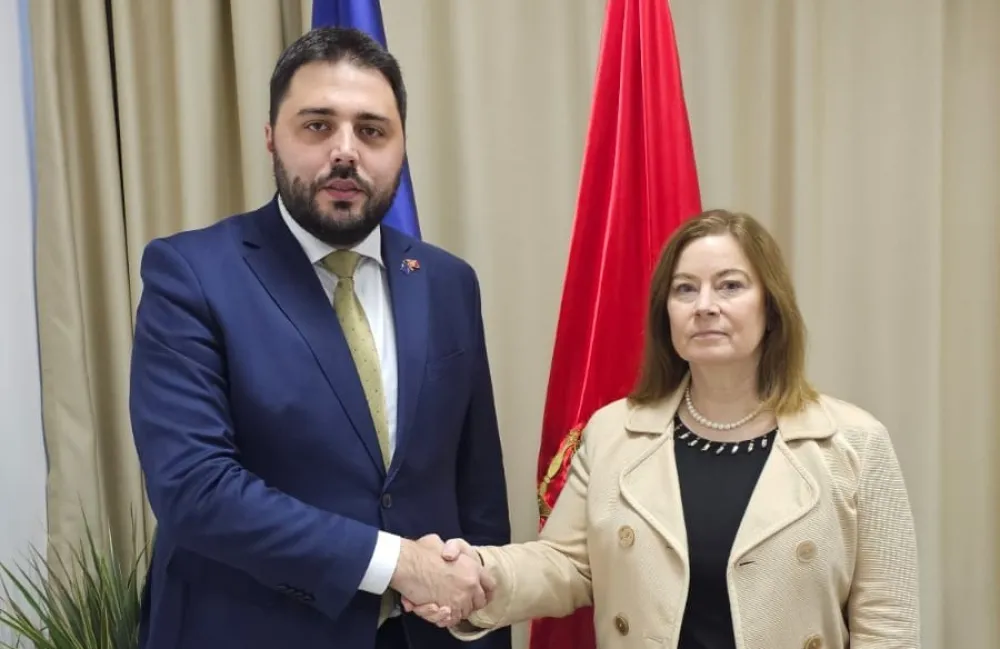 Martinović i Rajzing Rajnke
