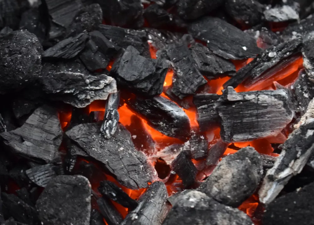 FOTO: Unsplash - Nikolay Kovalenko, ugalj