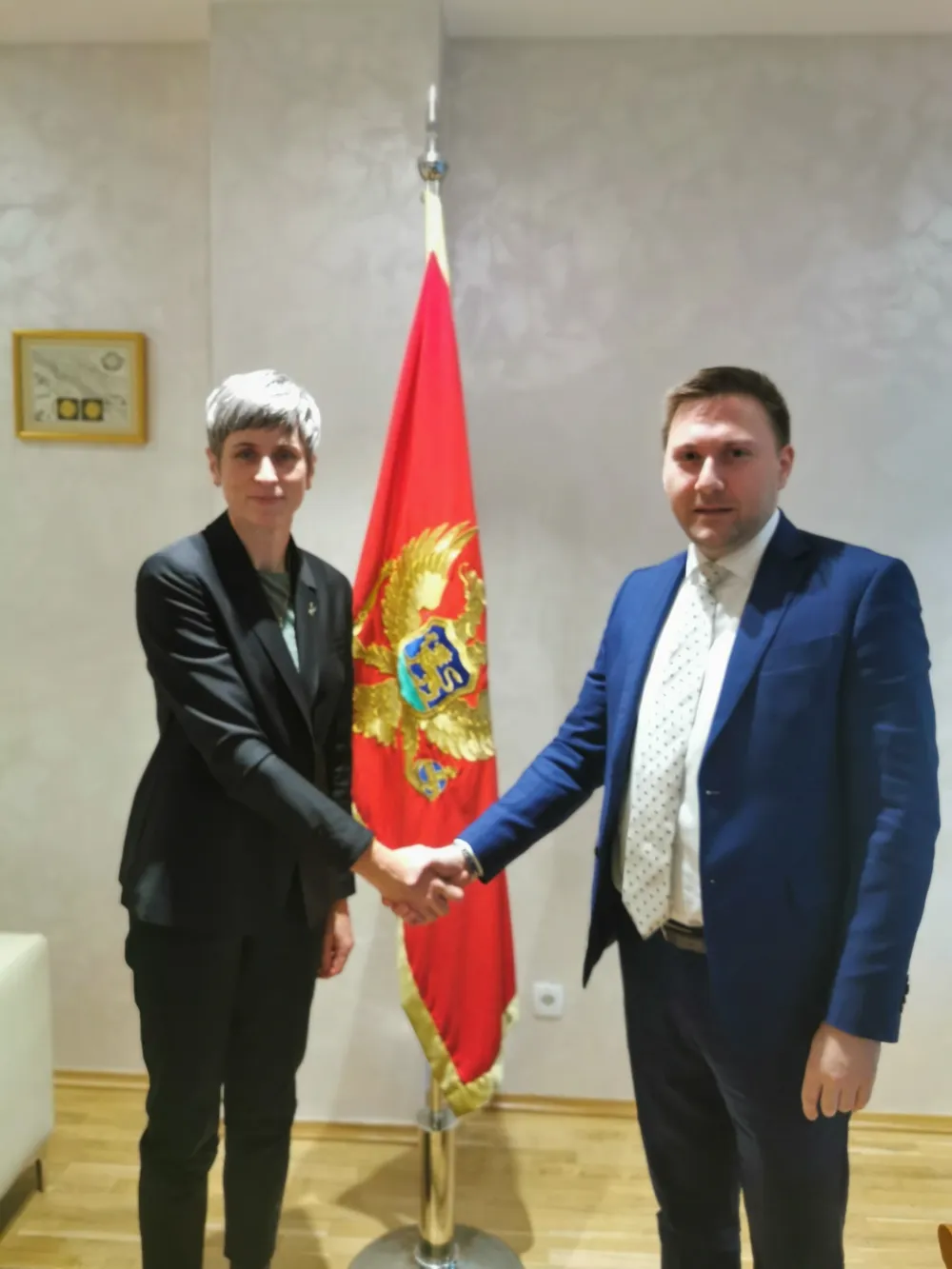 &Scaron;imun-Paniklova: Informatizacija zdravstvenog sistema punom primjenom donosi benefite pacijentima