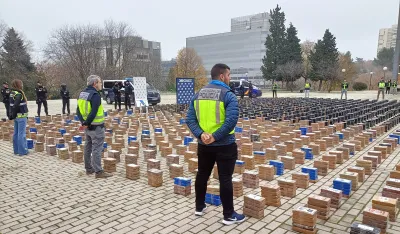 Заплијењен кокаин у пошиљкама смрзнуте туне