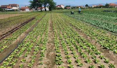 Успјешна производња