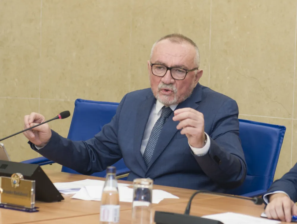 ekonomsko stanje izazovi i perspektive