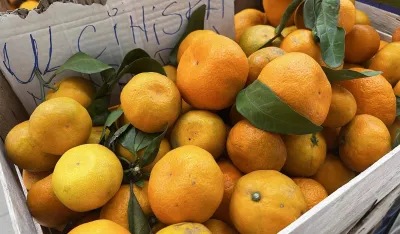 Na zelenoј piјaci u TC Forum mandarine prodaјu za 1,20 eura