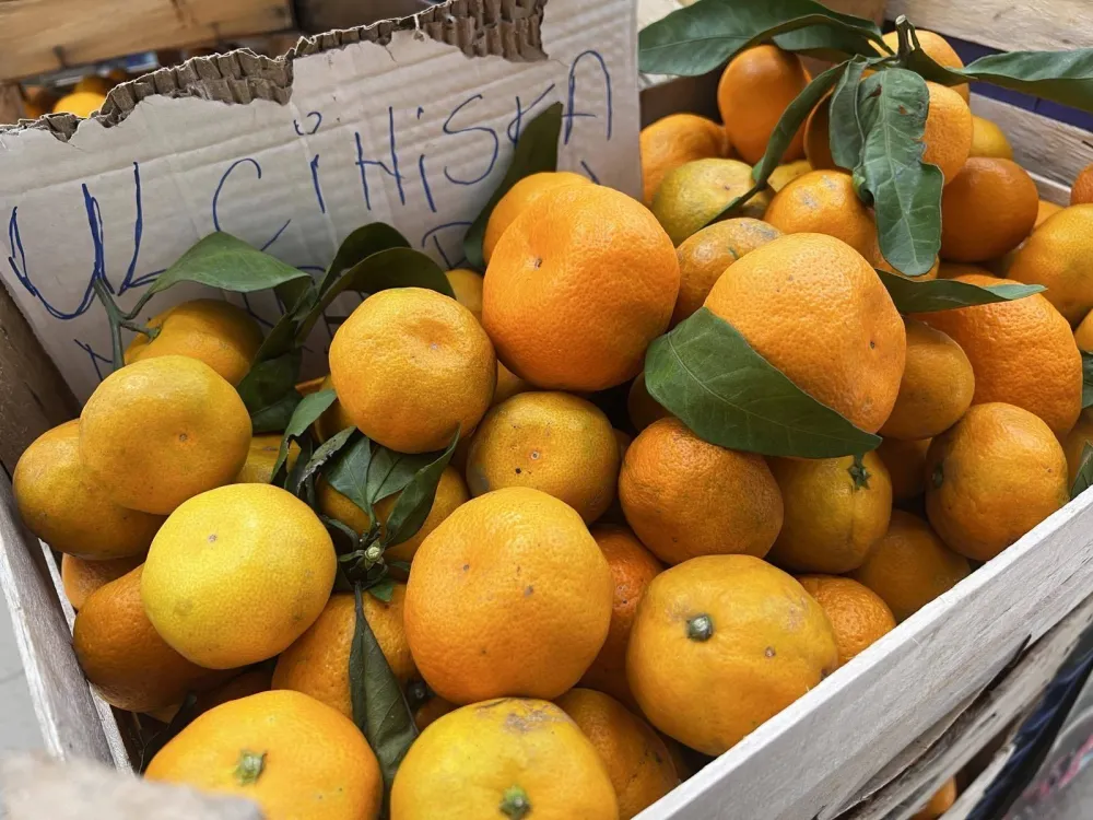 Na zelenoј piјaci u TC Forum mandarine prodaјu za 1,20 eura