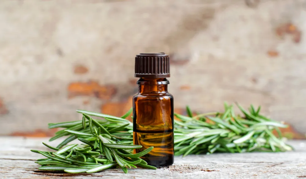 Small bottle of essential rosemary oil on the old wooden background. Aromatherapy, spa and herbal medicine ingredients. Copy space.