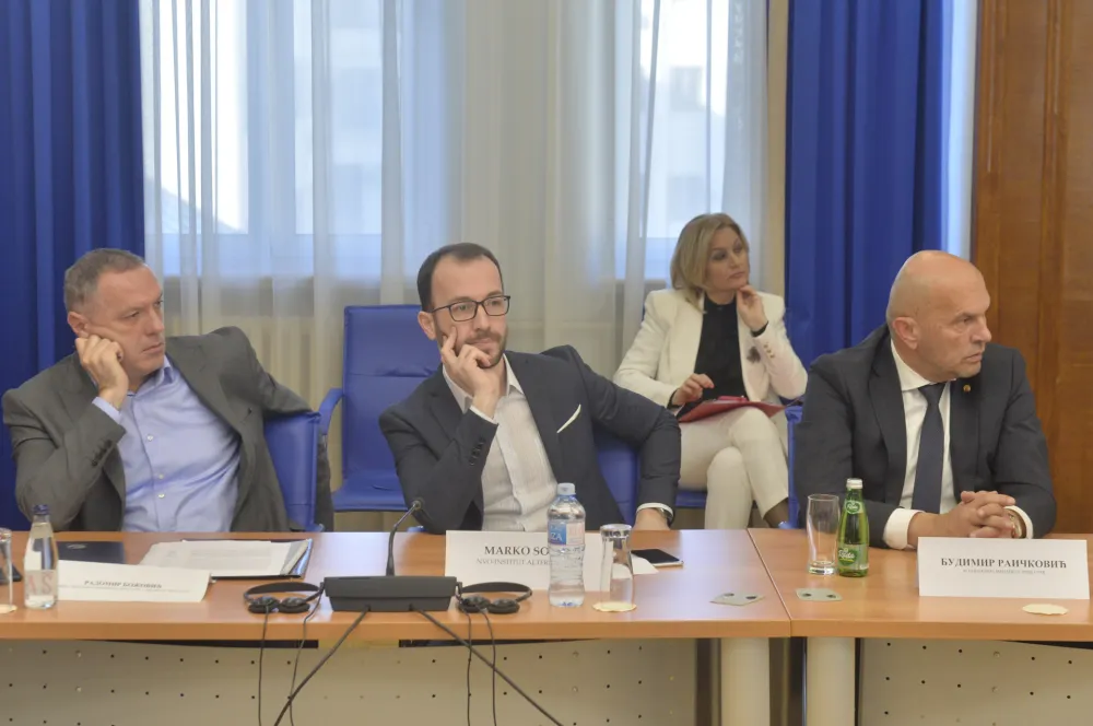 Odbor za ekonomiju, odbor za ekonomiju rasprava o budzetu