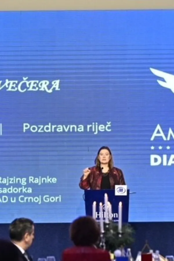 Rajzing Rajnke
