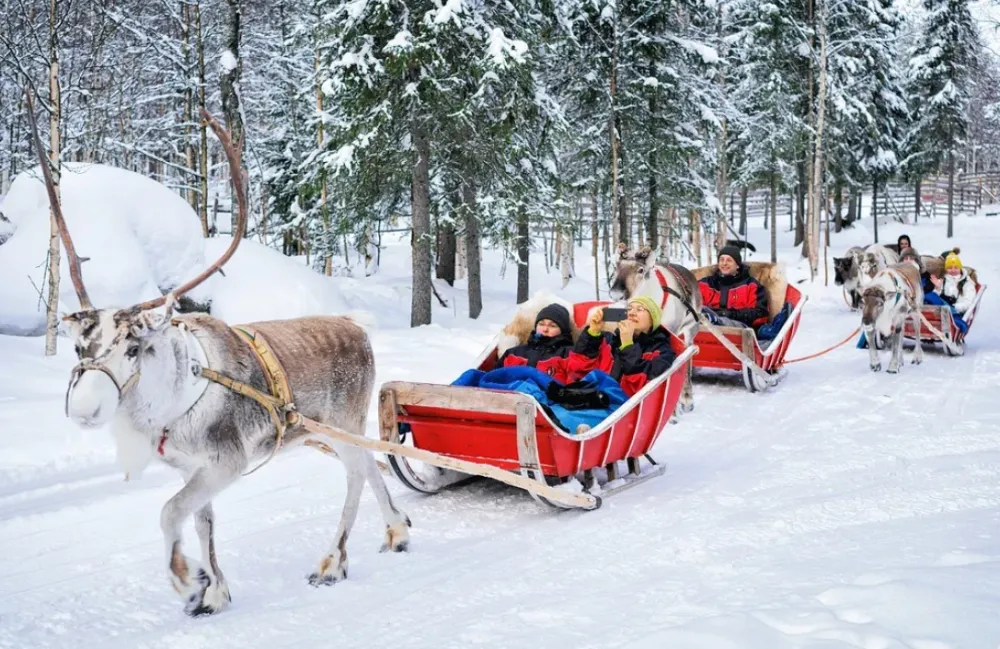 Finci "gospodari Božića"