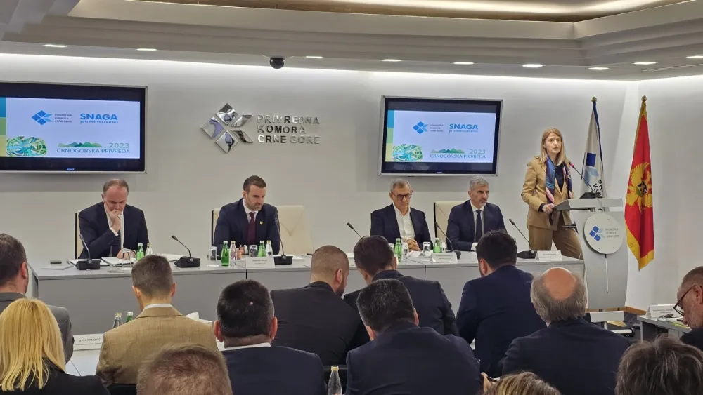 Drakić: Pozitivni trendovi ekonomije, spoljni faktori nepovoljni