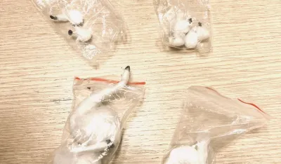 Bern razmatra pilot projekat sa legalnim kokainom