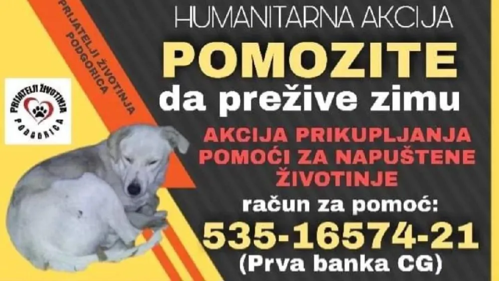 prijatelji životinja