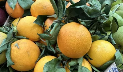 Na zelenoj pijaci u Ginta&scaron;u kilogram pomorandži do dva eura