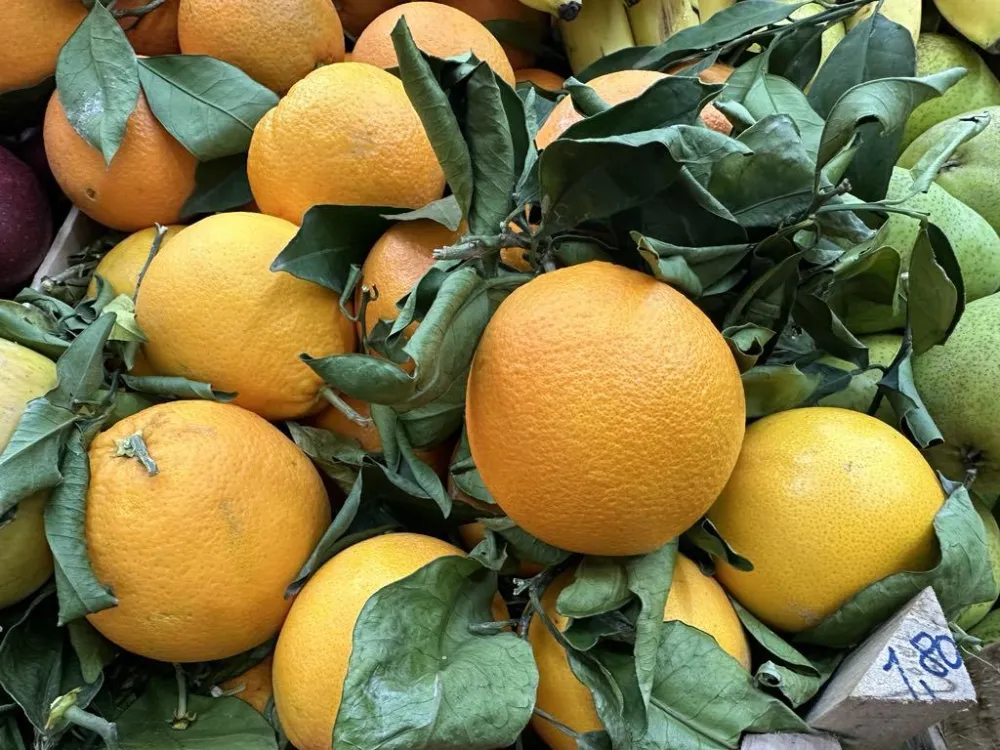 Na zelenoj pijaci u Ginta&scaron;u kilogram pomorandži do dva eura
