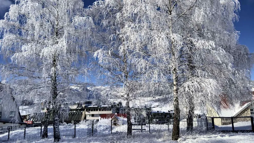 Ilustracija<br>snijeg, zima, Durmitor, Žabljak
