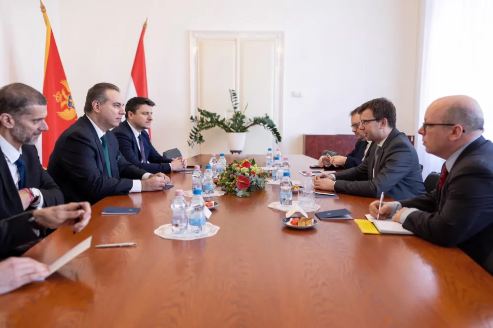 Na&scaron;a delegacija predvođena ministrom Ivanovićem tokom razgovora sa Jano&scaron;em Bokom