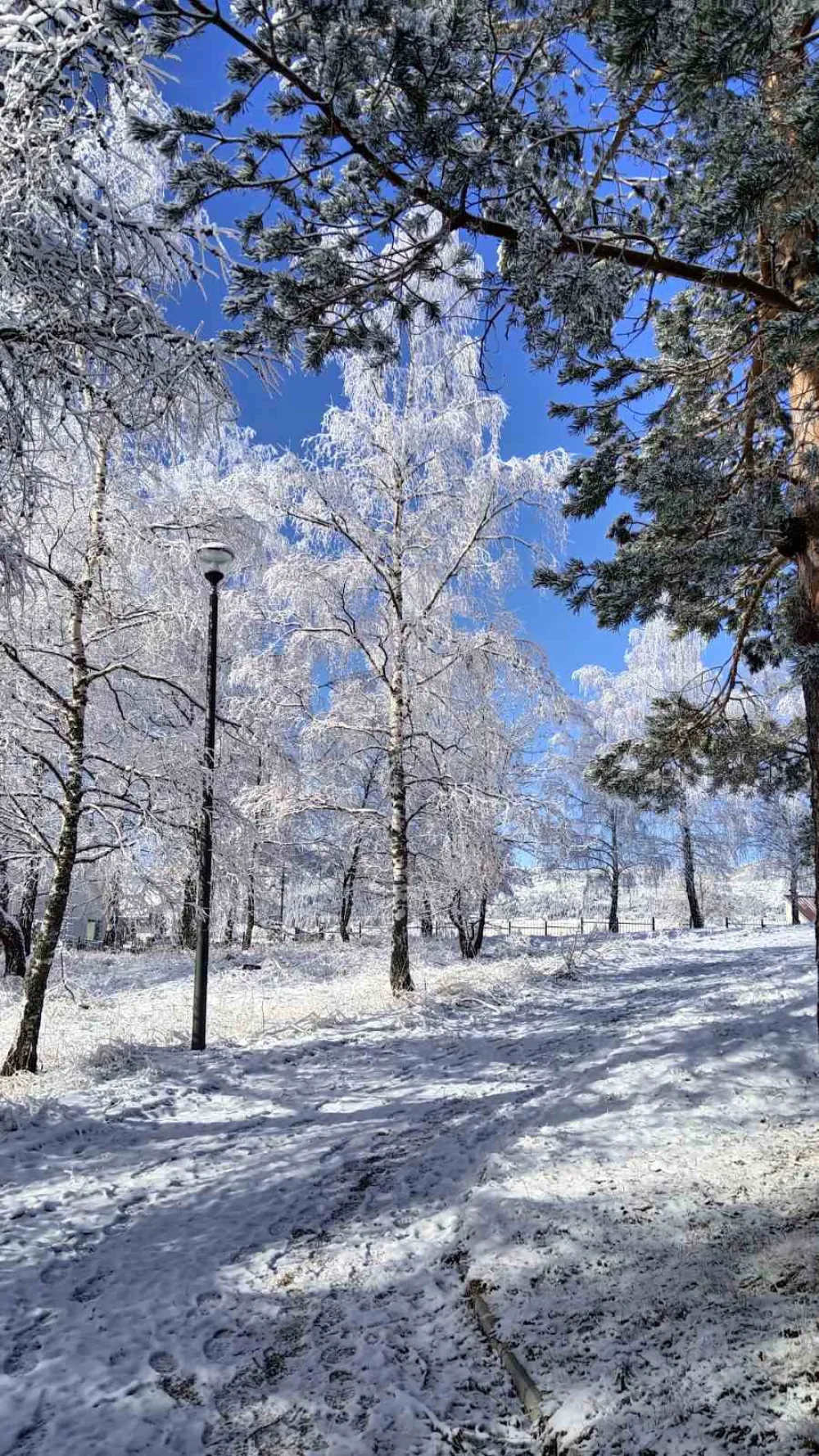 Ilustracija<br>snijeg, zima, Durmitor, Žabljak