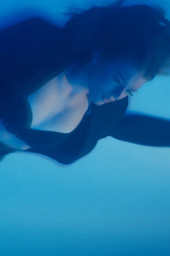 Lu Dedić - Plavi leptir