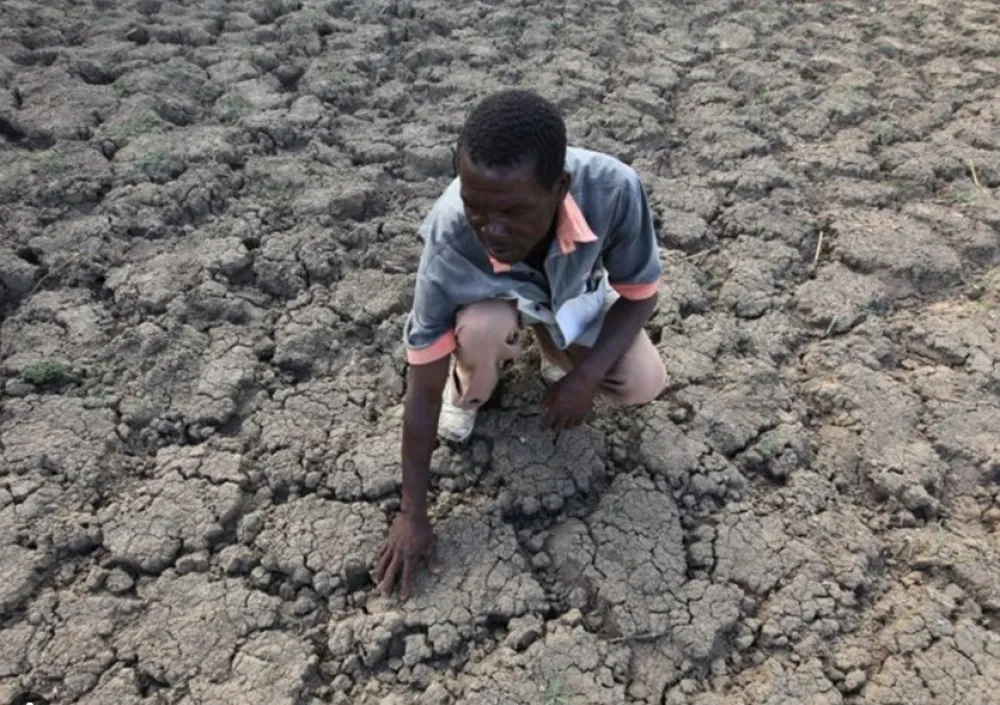 Zbog su&scaron;e gram u Zimbabveu prijeti milionima ljudi