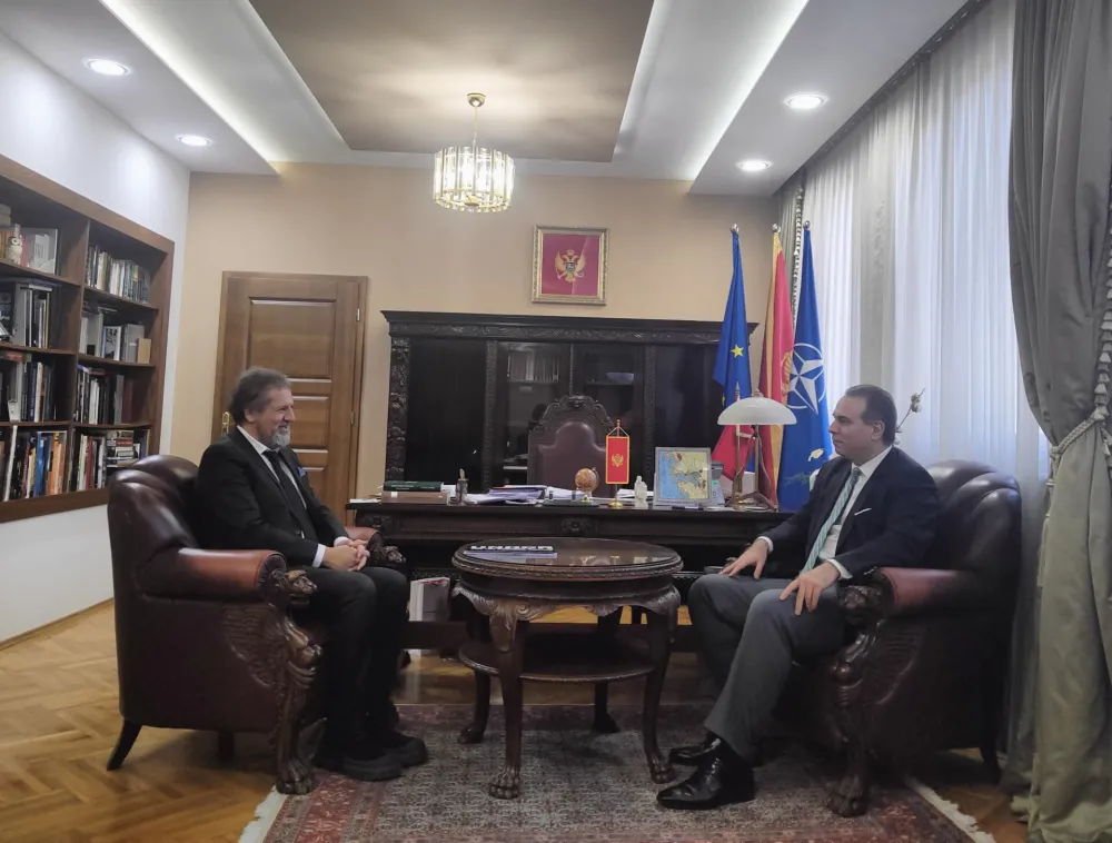 Ivanović i Bu&scaron;ardi