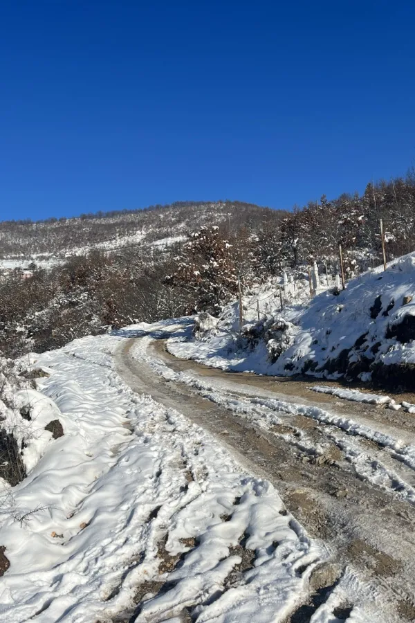 Selo Godu&scaron;a brojalo 150 domaćinstava, a danas svaka treća kuća zatvorena