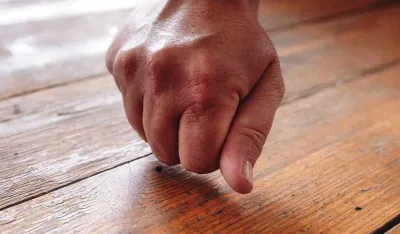 Za&scaron;to kucamo u drvo