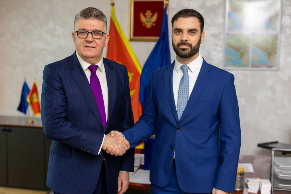 Radulović - Grubi&scaron;ić