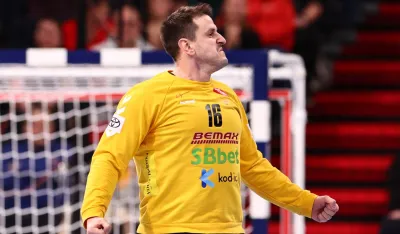 Neboj&scaron;a Simić