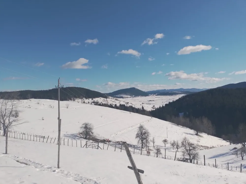 U Kosanici se život gasi