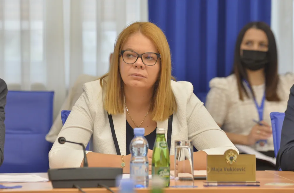 Odbor za zdravstvo, odbor za zdravstvo rad i socijalno staranje, Maja Vukcevic