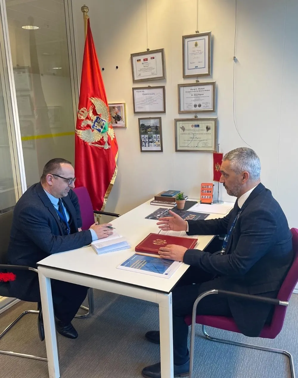 Brđanin i Rogu&scaron;ić