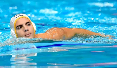 Стефан Видовић