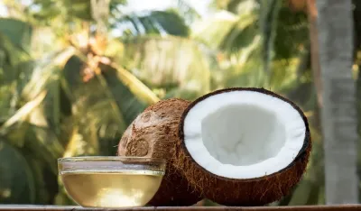 coconut and coconut oil with coconut tree background