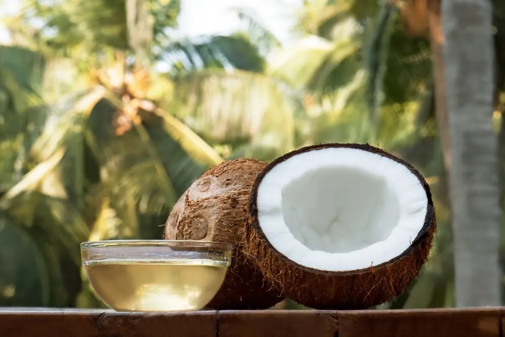coconut and coconut oil with coconut tree background