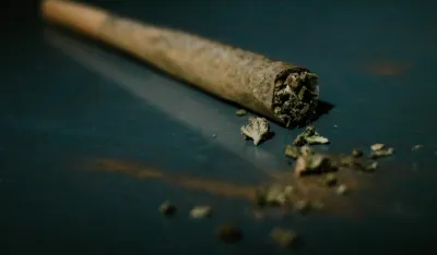 FOTO: Unsplash - Elsa Olofsson elsaolofsson- džoint, kanabis, marihuana